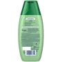 Schwarzkopf Schauma Shampoo 250 ml7 трав Шампунь для нормальных и жирных волос, которые требуют частого мытья: Пол Для женщин