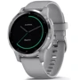 Смарт-часы Garmin vivoactive 4S Powder Gray/Silver (010-02172-03/010-02172-01)