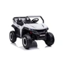 Багги Bambi Racer (M 5025EBLR-1(24V): Вид багги
