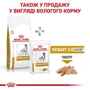Сухий корм для літніх собак Royal Canin Urinary S/O Aging 7+ Dog при захворюваннях сечових шляхів 1.5 кг (1271015): Основні інгредієнти Рис, Птица
