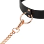 Ошейник с поводком Rosy Gold Collar with Leash Black