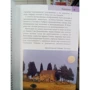Стефен Бруер: Тоскана та Умбрія. Путівник Berlitz Pocket Guide: Обкладинка М'яка