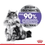 Сухой корм Royal Canin Sterilised Appetite Control для стерилизованных котов 3.5 кг (2563035): Возраст Взрослые
