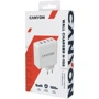 Зарядное устройство Canyon Wall Charger H-100 2xUSB-C+2xUSB GaN 100W White (CND-CHA100W01): Сила тока 2.4А и более
