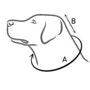 Комір нейлоновий Collar Dog Extremе легкий №3 А: 32-38 см У: 15.5 см лабрадор доберман (1498) фото 4