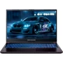 Ноутбук Dream Machines RG2050-17 (RG2050-17UA21) UA: Екран 17.3" (1920x1080) FHD