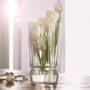 Ваза Cristal D’Arques Macassar 27 см (L8169): Цвет, орнамент прозрачная, с рельефной поверхностью