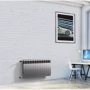 Радіатор Royal Thermo BiLiner 500 Silver Satin – 8 секцій: Тип радіатора Секционный
