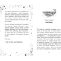 Кей Уманські: Елзі Піклз. Візьмочка взимку. Книга 3: Автор Кай Умански