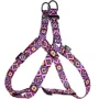 Шлей Hidog Aztec 26-40см/1см (125\1003)
