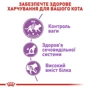 Сухой корм Royal Canin Sterilised для стерилизованных кошек и кастрированных котов 4 кг (2537040): Вес упаковки 4 кг