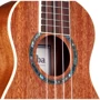 Укулеле сопрано CORDOBA 15SM: Форма корпуса Classical