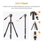 Штатив K&F Concept K234A7+FH-03 (KF09.136): Максимальне навантаження 5 кг