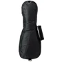 Чехол ROCKBAG RB20000 Student Ukulele Soprano
