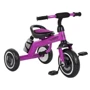 Трехколесный велосипед Turbotrike фиолетовый (M 3648-M-2)