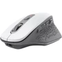 Мышь Trust Ozaa Rechargeable WL Black (24035): Интерфейс подключения Wireless