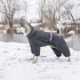 Комбінезон Pet Fashion COLD XL для великих собак сірий (4823082426355): Довжина спини 41-43 см