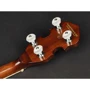 Банджо Richwood RMB-904