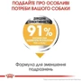 Сухой корм Royal Canin Dermacomfort Maxi Adult для собак с проблемной кожей 12 кг (24441209): Тип Сухой корм