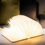 Світильник на акумуляторі MINI URBAN Gingko Англія рожевий (GK12F-PK8): Тип живлення Від USB, акумулятор