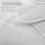 Ковдра ТЕП Лебединий пух батист 150х210см (2000008899413): Тип Теплые