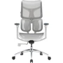 Офисное кресло Sihoo DORO S100 Mesh White (S100-M302)