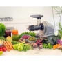 Соковыжималка BioChef Axis Cold Press Juicer SV (JU-BC-AX-EU-SV): Количество скоростей отжима 1