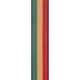 Ремень гитарный PLANET WAVES PW50A06 Woven Guitar Strap, Jamaica: Тип Ремни