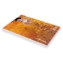 Скетчбук Manuscript Books Klimt 1907-1908 с открытым переплетом: ISBN 4822940000027