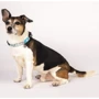 Ошейник Max & Molly Smart ID Collar - Unicorn/L для собак (4894512023086): Ширина 28 мм