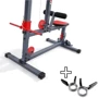 Фитнес станция K-Sport Training Atlas K-SPORT KSSL116 (KS-314): Тип конструкции стационарный