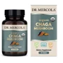 Dr. Mercola Organic Chaga mushroom Органический гриб Чага 30 таблеток