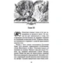 Эрин Хантер: Коты-воители. Опасная тропа: Производитель Абрис Олма