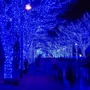 Гирлянда уличная (наружная) Springos 18 м 300 LED CL0327 Blue фото 11