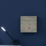 Годинник Gingko Analogue Click Clock 25х25х6.5 см (GK02G12): Виробник Gingko