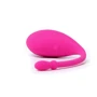 Смарт-виброяйцо Lovense Lush Bullet Vibrator