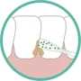 GUM Original White Floss Зубна нитка вощена з фторидом 30 m: Вік от 12 лет