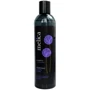Melica Shampoo Шампунь с экстрактом лука 300 ml