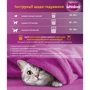 Сухой корм для котят Whiskas с курицей 300 г (5900951139727): Тип Сухой корм