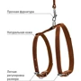 Шлей з повідцем Collar котяча шкіряна на планшеті 12 мм 22-30 см 122 см коричнева (05466): Колір коричневый