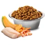 Беззерновий сухий корм Farmina N&D Ocean Grain Kitten Cod Shrimp Pumpkin & Melon для кошенят і вагітних кішок Тріска, креветка, гарбуз і мускусна диня 300 г (175583): Тип Сухий корм