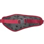 Сумка Deuter Pulse 2 колір 5000 cranberry (3935119 5000): Колір червоний
