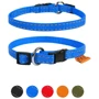 Ошейник Collar Dog Extremе 10 мм 20-30 см голубой (4820082494261)