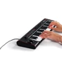 MIDI- клавиатура IK MULTIMEDIA IRIG KEYS 2 PRO: Питание От USB порта