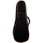Чехол для укулеле FZONE CUB3 Ukulele Soprano Bag: Производитель FZONE