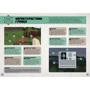 Томас Макбраєн: MINECRAFT Посібник з виживання: Автор Томас Макбраен