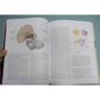 Рита Картер: Як працює мозок: ISBN 978-5-17-088554-1