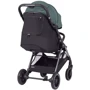 Коляска прогулочная Carrello Delta CRL-5517 Jungle Green 2024 (CRL-5517 Jungle Green 2024): Пол ребенка Унисекс