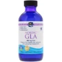 Nordic Naturals Nordic GLA 4 fl oz (119 ml) Масло огуречника