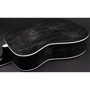 Акустична бас-гітара CORT AB590MF (Black Open Pore) w / bag: Кількість струн 4
